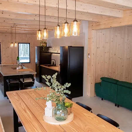 Vagusbouda/ &fogo Chalet Loučná nad Desnou